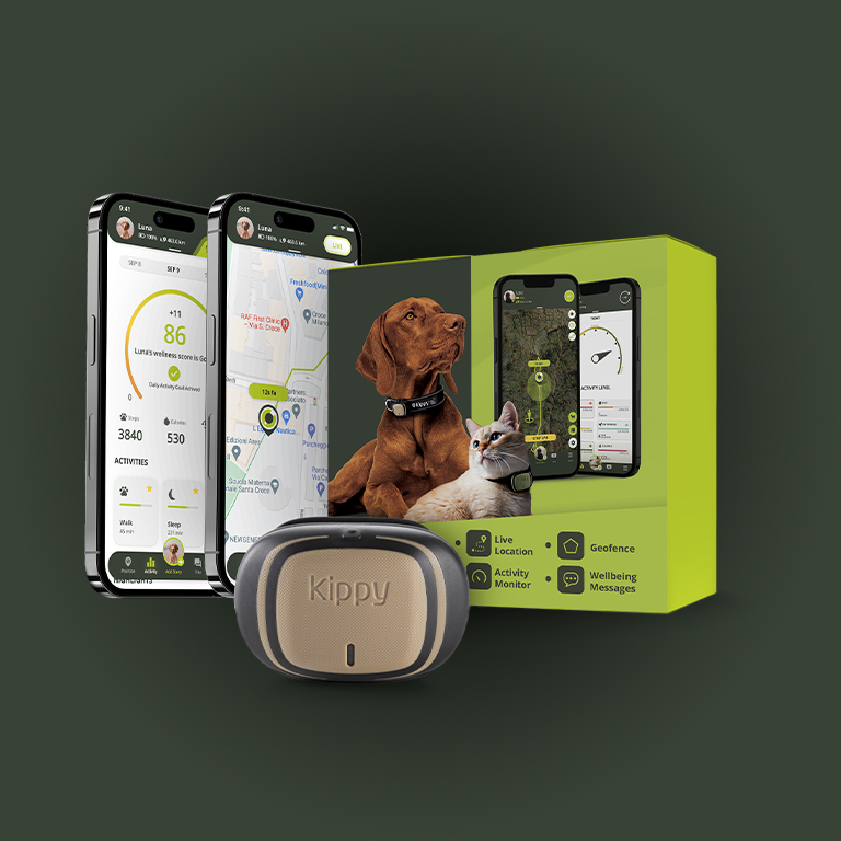 Kippy EVO - Localizzatore GPS e Activity Tracker per Cani e Gatti | Impermeabile e Senza Limiti di Distanza