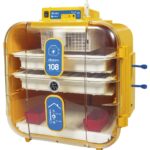 Incubatrice Covatutto 108 analogica Novital