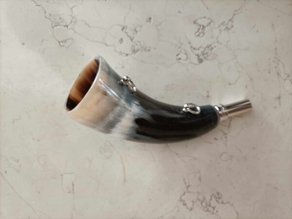 Tromba in corno di Bue