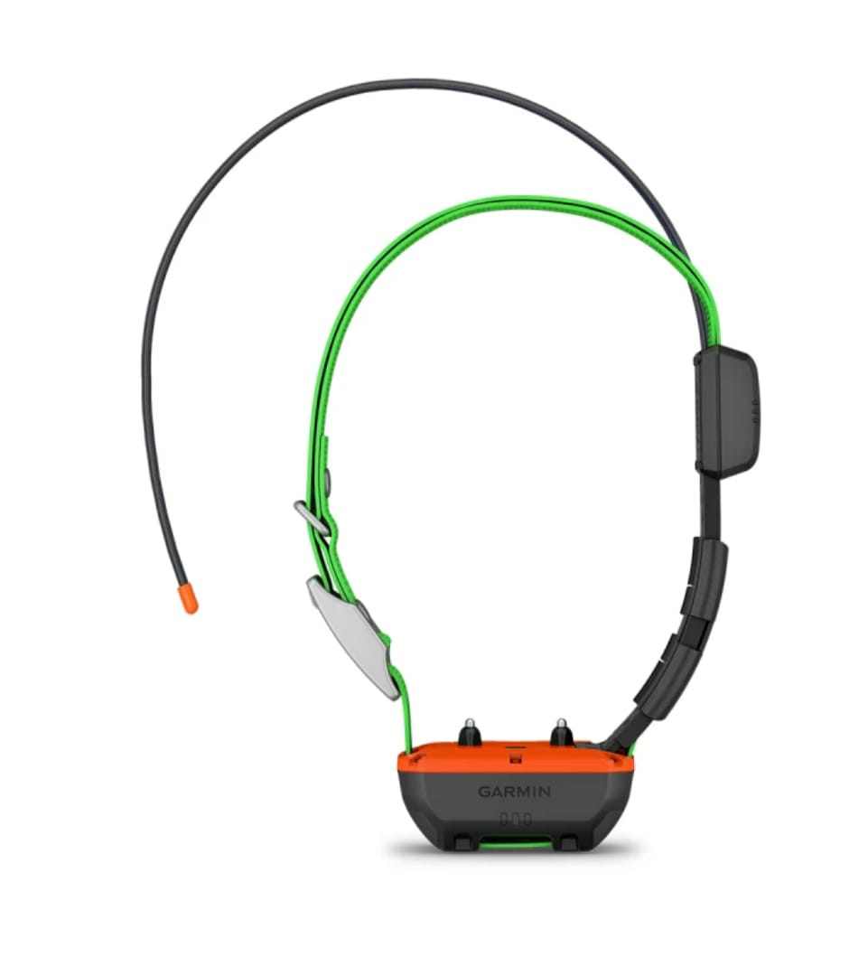 GPS Garmin Alpha 200 plus + collare T25 K - immagine 6