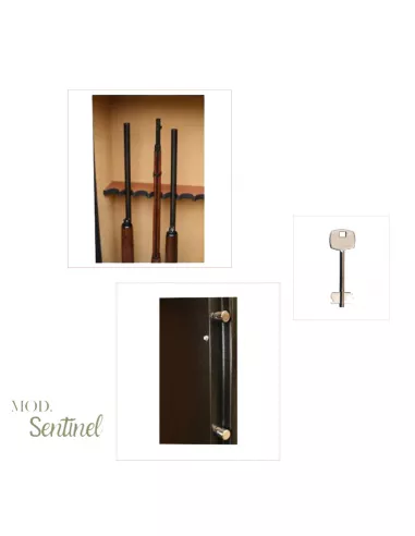 Armadio Blindato Infac Sentinel SD10 | Portafucili 10 Posti - immagine 3