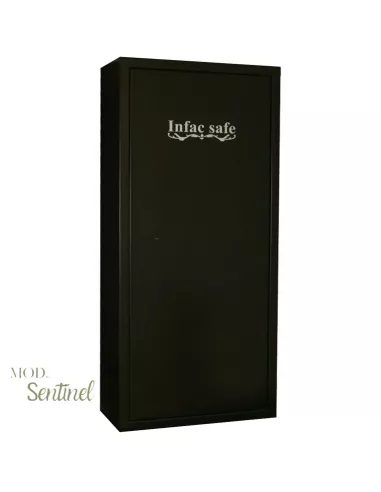 Armadio Blindato Infac Sentinel SD14 | Fuciliera 14 Posti - immagine 2