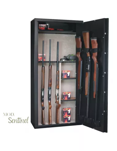 Armadio Blindato Infac Sentinel SD14 | Fuciliera 14 Posti