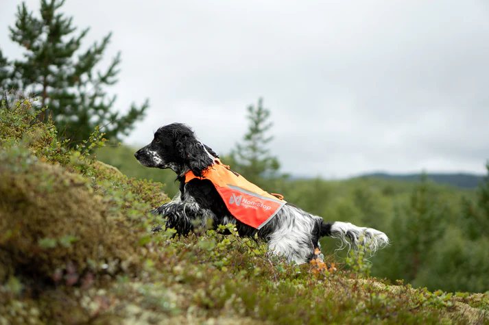 Gilet Protettivo per Cani Protector 2.0 – Alta Visibilità e Antistrappo - immagine 3